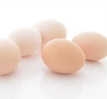 甜菜碱可以改善蛋品质