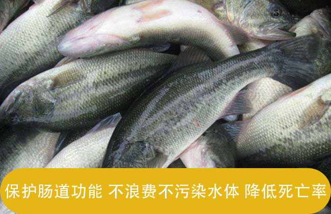 甜菜碱是新型鱼饲料诱饵添加剂